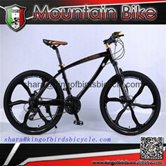 new design mountain bike with 6 spoke wheel aluminum alloy cool mtb