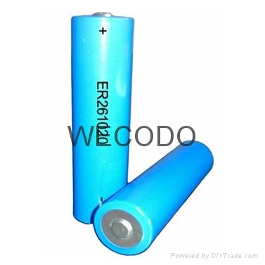 ER battery from WECODO 5