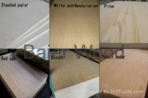 Linyi Baier Professional Plywood Manufacturer