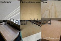 Linyi Baier Professional Plywood