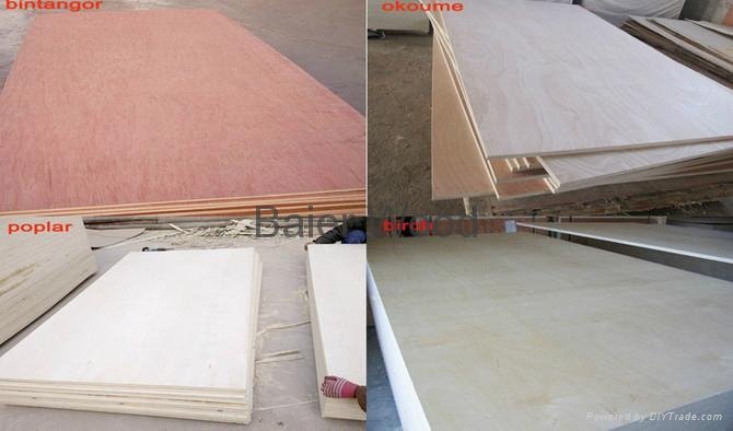 Linyi Baier Professional Plywood Manufacturer 5