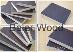 poplar plywood 27mm shuttering film faced plywood