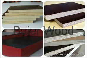 poplar plywood 27mm shuttering film faced plywood 2