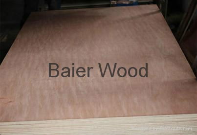 Hot sale bintangor okume packing plywood /Commercial Plywood from Linyi factory 2