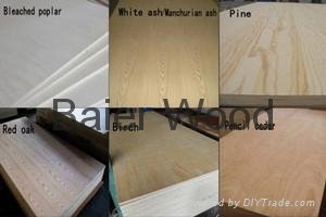 Hot sale bintangor okume packing plywood /Commercial Plywood from Linyi factory 3