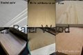 Hot sale bintangor okume packing plywood /Commercial Plywood from Linyi factory 3