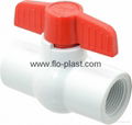 1/2 Inch PVC Ball Valve With NPT Thread Ends And Butterfly Handle For Water 2