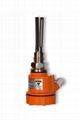 Vibrating fork level switch for solid /