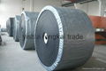 chemical resistant conveyor belt