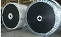 chemical resistant conveyor belt 2