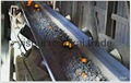 falame resistant conveyor belt 2