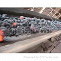 falame resistant conveyor belt 1