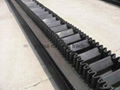 sidewall conveyor belt 1