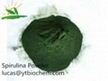 Organic Spirulina Powder Product Name: Organic Spirulina Powder Specs: 55%~65% M 1