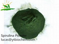 Organic Spirulina Powder Product Name: Organic Spirulina Powder Specs: 55%~65% M