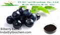  Bilberry extract 1