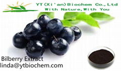 Bilberry extract