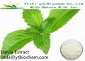 Stevia Extract