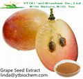 grape seed extract  1