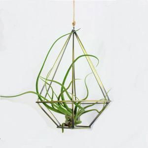 Creative Geometric Hanging Succulent Air Plants Tillandsia Holder