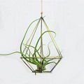 Creative Geometric Hanging Succulent Air Plants Tillandsia Holder 1