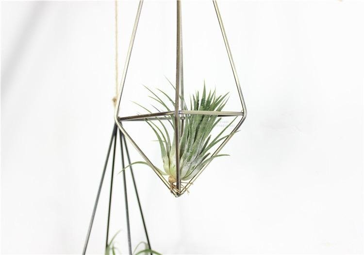 Creative Geometric Hanging Succulent Air House Plants Tillandsia Holder 5