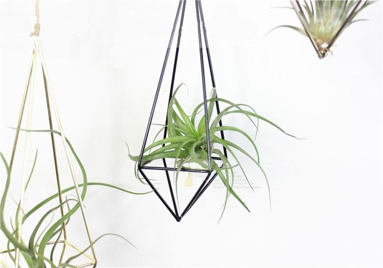 Creative Geometric Hanging Succulent Air House Plants Tillandsia Holder 4
