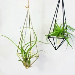 Creative Geometric Hanging Succulent Air House Plants Tillandsia Holder