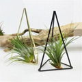 Creative Geometric Succulent Air Plants Tillandsia Bromeliad Metal Stand Holder 