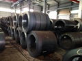 Hot Rolled Steel Coil