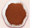 Western Africa Light Alkalized Cocoa