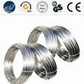 Stainless Steel Spring Wire