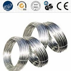 Stainless Steel Wire