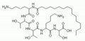 Palmitoyl pentapeptide-4, 214047-00-4