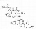 GHK 藍銅肽, 89030-95-5 2