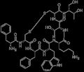 Octreotide, 79517-01-4