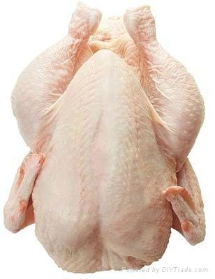 Quality Halal Whole Frozen Chicken  2