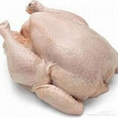 Quality Halal Whole Frozen Chicken 