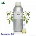 Pure and Natural Camphor Oil 3