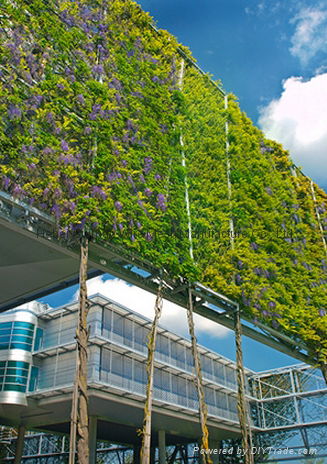 Cable mesh plant climbing