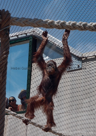 動物園鋼絲繩網 2