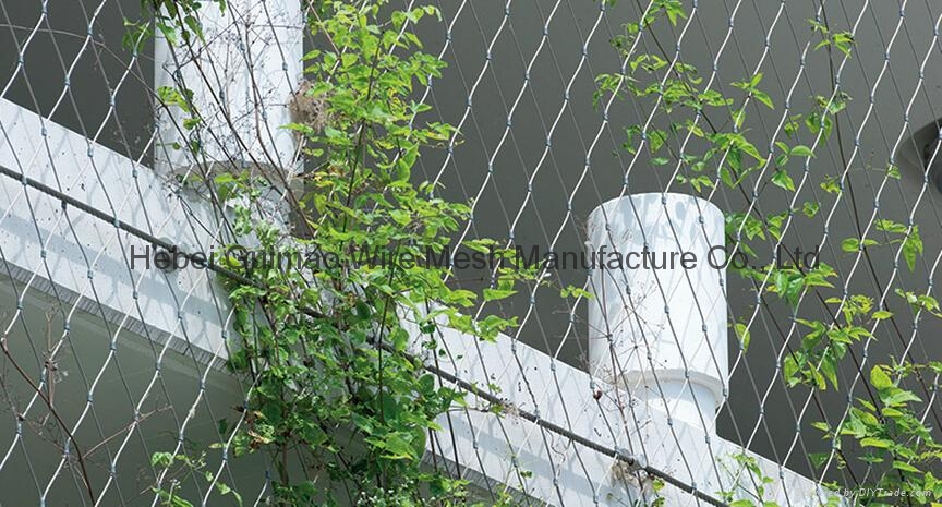 鋼絲繩網對建築的保護 5