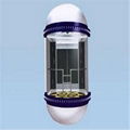 Elegent Panoramic Passenger Elevator With Glass Cabin 1