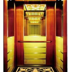 FAST Big Machine Room Passenger Lift With Hairline Stainless Steel