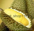 Durian Paste (50g.) Amazing Thai Fruit Snack Durian Monthong Premium 1