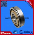 170314 GPZ Deep groove ball bearings