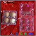 Egg Trays