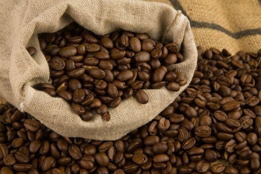 Coffee Beans (Arabica )