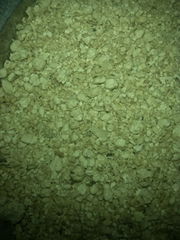 Soybean Meal