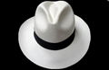 Panama Hat 1